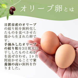 No.779 ＜定期便・全6回(連続)＞鹿児島県産美山オリーブ卵(10個×4P×6ヶ月連続)【美山たまご王国】
