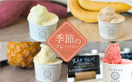 季節のジェラートおまかせ6点セット【ジェラテリア コンナカ】[AKHT002]
