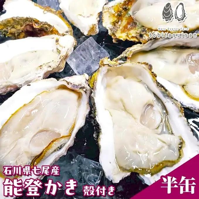飛田水産　石川県七尾産　能登かき　殻付き半缶 | 牡蠣 魚介類 訳あり 生活応援価格 ご家庭用 復興支援   ※要加熱 ※2027年1月～発送