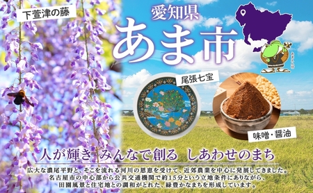 延命寺 守り楠 まもりくす 1個 選べる3色 赤 黒 ナチュラル 楠 クスノキ 楠木 薬の木 薬木 お守り 御守り おまもり 祈願 御祈願 ご祈願 浄化 秘仏 寺 御寺 パワースポット 薬師瑠璃光如来