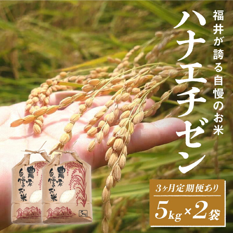【ふるさと納税】【楽天限定！350袋限定販売！！】【選べる配送回数！】【令和7年産 新米！】【2025年10月以降順次発送予定】ハナエチゼン 5kg×2袋（計10kg）[C-10106] / お米 新米 精米 ご飯 華越前 ごはん 米農家 農業男子 鮮度抜群 福井県鯖江市 先行予約