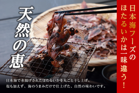 高評価☆5【訳あり】 ほたるいか ホタルイカ 素干し 240g（60g×4袋） イカ いか 07-27