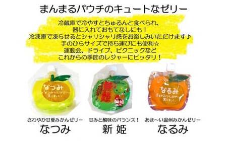 11【「濃厚ゼリー3種セット☆3個箱入り】　ミニセットが欲しい！リクエストにお応えしました。