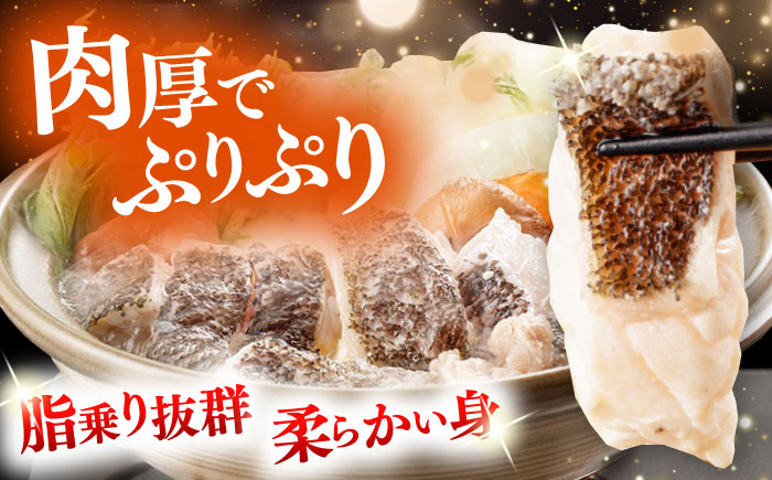 対馬産 クエ鍋セット 600g（2〜3人前）《対馬市》【対馬地域商社】 [WAC014] アラ くえ クエ クエ鍋 鍋 鍋セット 高級魚 魚 希少 冷凍 長崎 九州 つしま 対馬市 海鮮 魚介