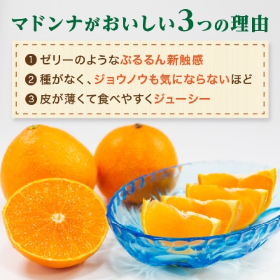 2025年11月発送開始　ぷるぷる新食感「マドンナ」約4kg　【C39−31】【1149494】