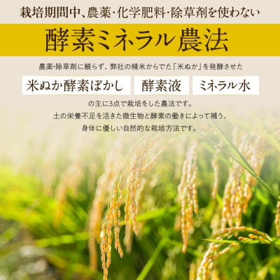 「つちのおと」米粉1kg　栽培期間中、農薬・化学肥料・除草剤不使用　岐阜県産初霜　令和5年産【配送不可地域：離島】【1531070】