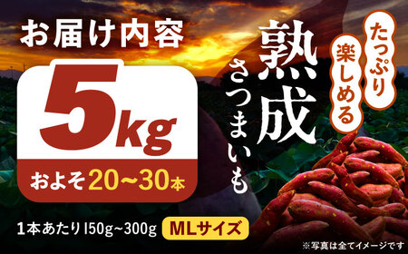 さつまいも 5㎏ / 焼き芋 焼きいも 紅はるか シルクスイート あまはづき 野菜 愛西市 / 川口農園[AEDH001]