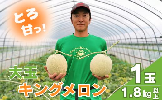 【大玉】とろける舌触り！東山農場産キングメロン 1玉　D083