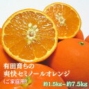 【ふるさと納税】 有田育ちの爽快セミノールオレンジ (ご家庭用) 【選べる容量】 約1.5kg ～約7.5kg ※北海道・沖縄・離島配送不可 【2025年4月より順次発送予定】 / セミノール 有田みかん 有田 みかん 果物 フルーツ 柑橘 くだもの セミノールオレンジ 家庭用