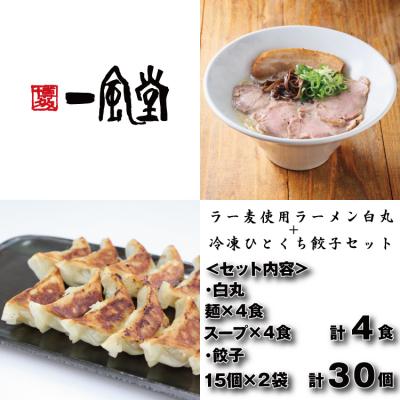 ふるさと納税 新宮町 【一風堂】白丸ラー麦麺4食とひとくち餃子2袋セット【豚骨ラーメン】.ZI394
