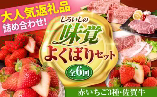【R8年2月以降発送】【全6回定期便】しろいしの味覚よくばりセット（赤いちご3種と佐賀牛） [IZZ027]