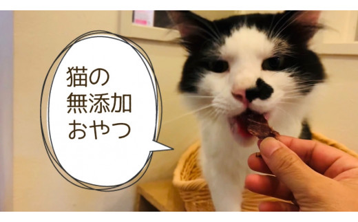 
FB093　猫の無添加おやつ☆天然いのししジャーキー4個
