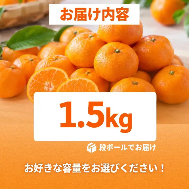 【2026年11月10日から発送】甘さ凝縮！濃蜜小粒 みかん 1.5kg みかん 小玉 小松島市