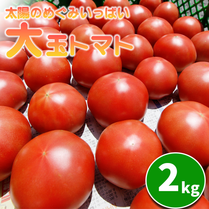 【岩手県産】こだわり大玉トマト 約2kg ／ 【田村和大】 とまと 大玉とまと 新鮮 夏野菜 旬 期間限定 季節限定 野菜 お野菜 八幡平市産 産地直送 農家直送 国産