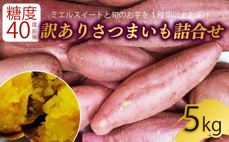 
            【新芋発送開始】 【訳あり】 サツマイモ 詰め合わせ 5キロ ミエルスイート ＋1種類以上 安納黄金 紅はるか 土佐紅 焼き芋 焼いも 焼芋 やきいも 野菜 やさい 食品 人気 おすすめ 高知県 南国市
          