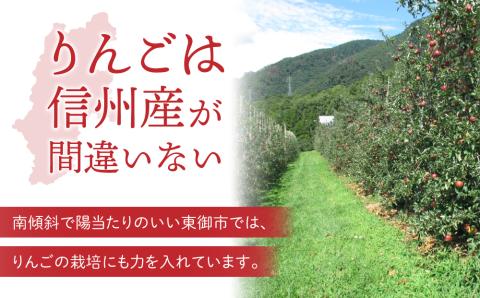 東御市産りんご　長野県オリジナル品種「秋映」3kg ※9月下旬～順次発送予定