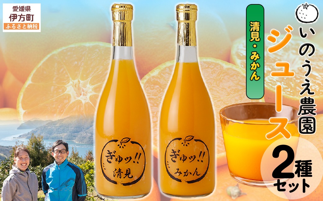 いのうえ農園 ジュース2種セット（清見/みかん）※離島への配送不可 IKTAI019
