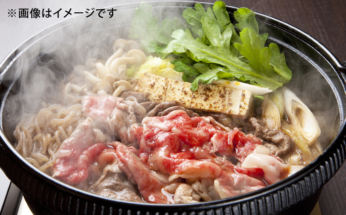 【全12回定期便】【希少で上品なお肉をご家庭で！】五島牛 薄切りセット ロース モモ 700g 4～5人前【ごとう農業協同組合】 [RAT011]
