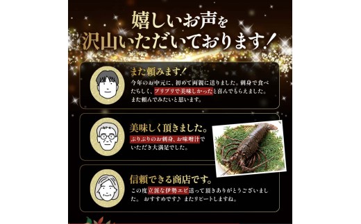 冷凍 伊勢海老 活 1.5kg Oセット 下田産 伊勢エビ 海老 活き締め 国産 海老 えび 刺身 味噌汁 おつまみ バーベキュー BBQ おせち ギフト 贈答 プレゼント 伊豆 辻水産 下田市 静岡県