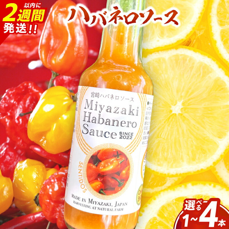 【ふるさと納税】爽やか激辛食感 フルーティなハバネロソース ≪本数が選べる≫ 数量限定 宮崎 ハバネロ ソース 1本 2本 3本 4本 激辛ソース 調味料 おすすめ 加工品 オリジナル ブレンド 肉料理 パスタ ピザ ギフト プレゼント 贈り物 お取り寄せ 宮崎県 日南市 送料無料