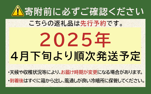 【先行予約】熊本県産 玉ねぎ 10kg (33玉前後) ≪2025年4月下旬から順次発送≫ 玉葱 野菜 数量限定 JAS たまねぎ オニオン 甘い ハンバーグ 肉じゃが 065-0637 大森 重臣