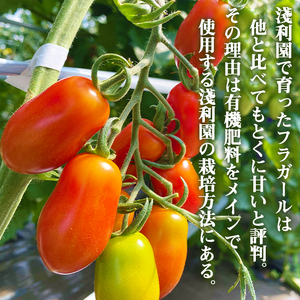 岩手県産 ミニトマト フラガール 1kg