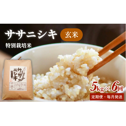 特別栽培米 ササニシキ 玄米30kg【毎月5kg 全6回】