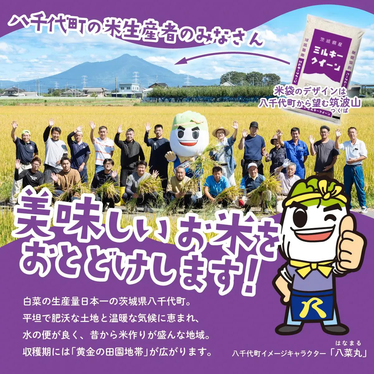 【令和8年産】新米 ミルキークイーン 5kg 精米 5kg(5kg×1袋)