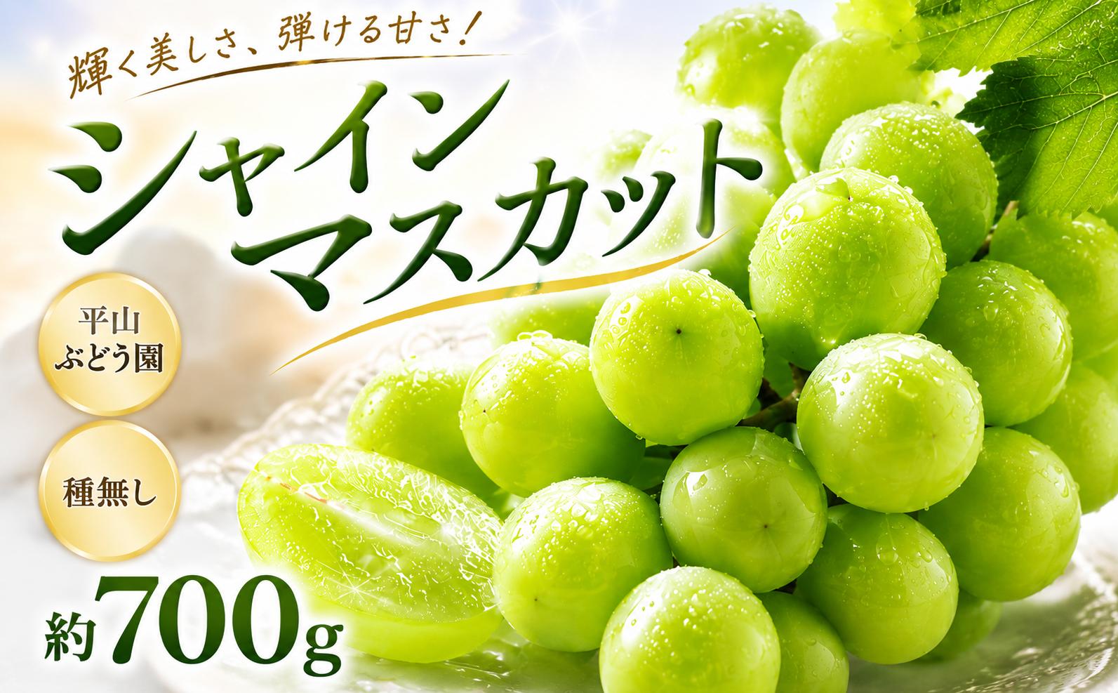 
                  シャインマスカット 種なし 700g 平山ぶどう園 マスカット ぶどう ますかっと しゃいんますかっと ブドウ 葡萄 果物 くだもの フルーツ 厳選 農家直送 大粒 たねなし ふるーつ リピート リピーター 多数 朝どれ 果肉 新鮮 budou 2026年発送 千葉県 香取市 HRB001
                