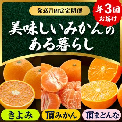 ふるさと納税 八幡浜市 【発送月固定定期便】美味しいみかん柑橘のある暮らし【みかん・まどんな・きよみ】【G31-42】全3回