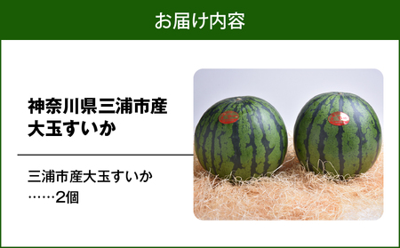 神奈川県 三浦市 産大玉すいか（ 2個 ） M109-007 すいか スイカ 三浦市農業協同組合 ふるさと納税 おすすめ ランキング プレゼント ギフト