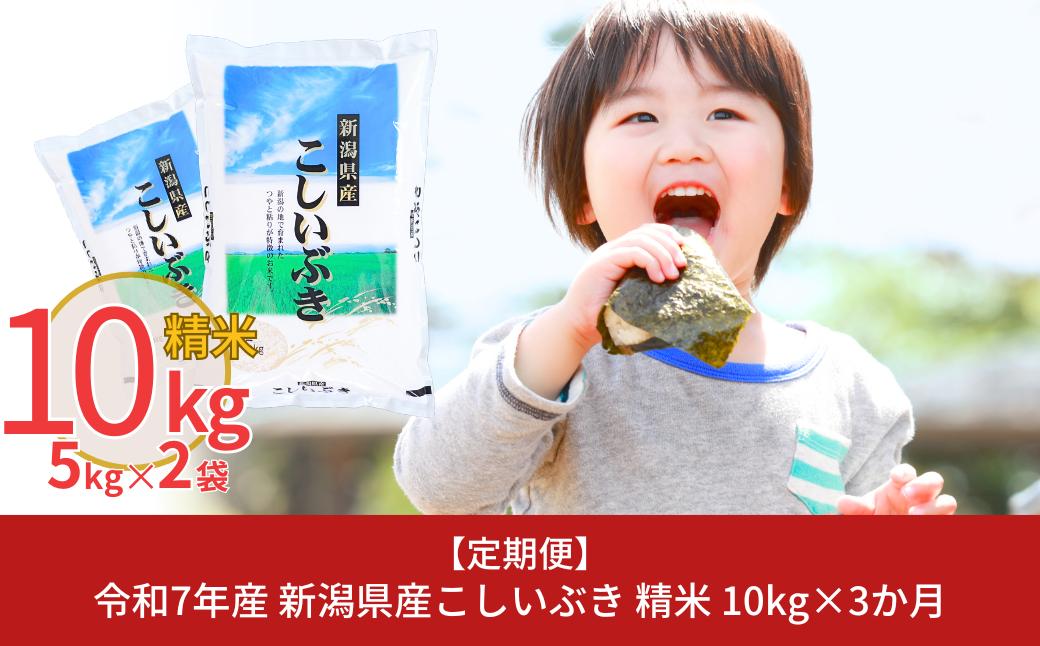 
                  先行予約 [定期便10kg×3ヶ月] 新潟県産こしいぶき 計30kg 令和8年産 3か月連続でお届け [株式会社白熊]【031S004】
                