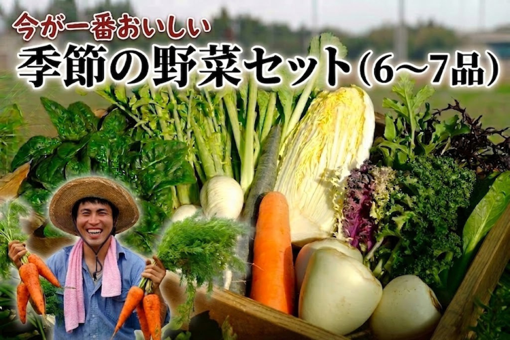 季節の野菜セット（6～7品） 単発