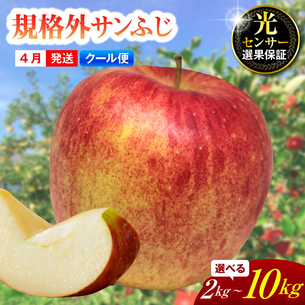 【ふるさと納税】【規格外】 ≪4月発送≫ りんご サンふじ ( 内容量が選べる 2kg 5kg 10kg ) スマートフレッシュTM貯蔵 または CA貯蔵 青森県産 【クール便】 フルーツ 果物 青森県 五所川原市