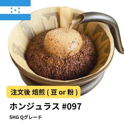 ふるさと納税 堺市 【豆】コーヒー #097 ホンジュラス SHG Qグレード 310g