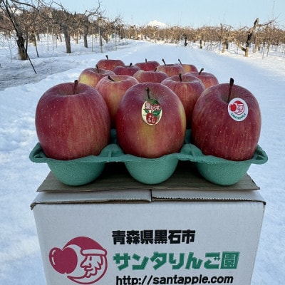 蔵出し春りんご　葉とらずサンふじ　小玉　約3キロ(13個前後入)　実が硬めで食感良好【配送不可地域：離島】【1721055】