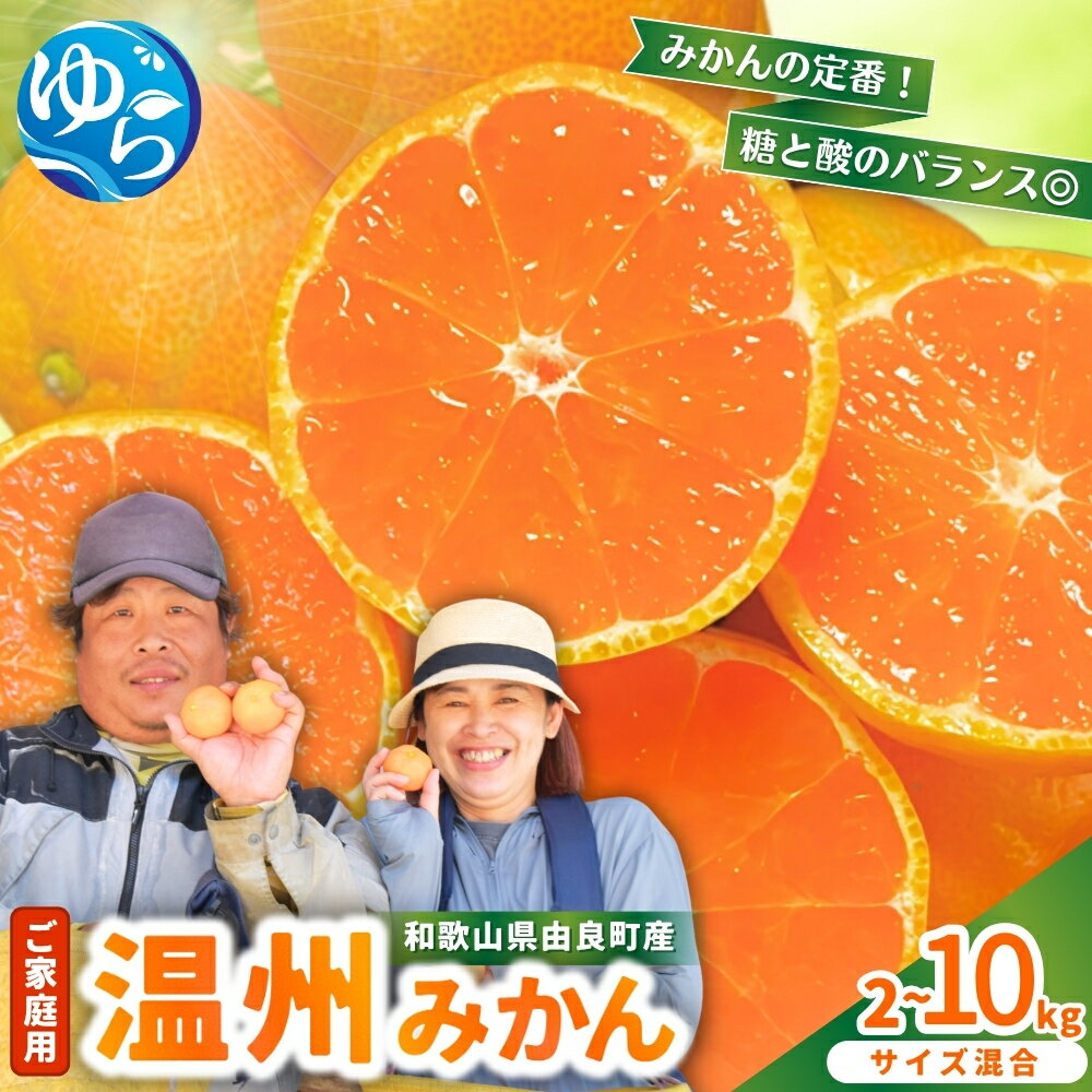 【ふるさと納税】 家庭用 温州 みかん 2kg～10kg 農家直送 / 甘い 柑橘 果物 フルーツ 和歌山 ※2026年11月中旬頃～12月下旬頃に順次発送予定