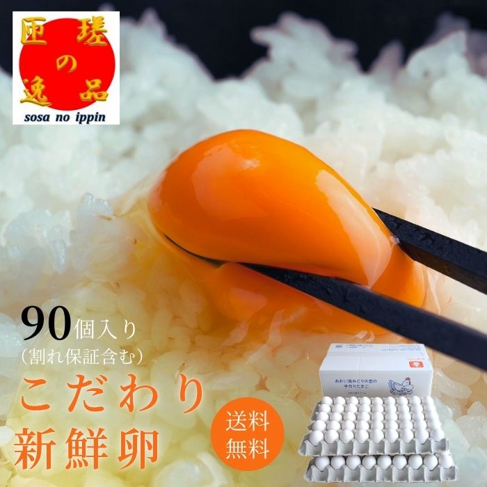 【ふるさと納税】九十九里ファームこだわりたまご90個 〜あおい海・みどりの里〜《白玉》 卵 タマゴ 玉子 たまご こだわり 新鮮 旨み 甘み 卵白 卵黄 ゆで卵 卵かけごはん TKG たまごかけごはん エッグ 送料無料 千葉県
