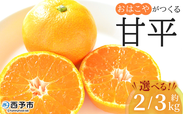 
            おはこやがつくる 甘平 約2kg/3kg（L～3Lサイズ） 果物 フルーツ 柑橘類 かんぺい カンペイ オレンジ みかん ミカン サイズ混合 おいしい 甘い 愛媛限定栽培 特産品 産地直送 西宇和 愛媛県 西予市【常温】
          