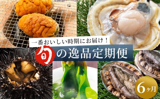 fc-39-031 旬の逸品6ヶ月定期便 ヤマキイチ商店