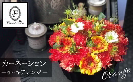 【花瓶いらず！】オレンジカーネーションでふわもこケーキのようなフラワーアレンジ！ そのまま飾れる プレゼント 贈り物 還暦 記念日 お誕生日 お祝い 母の日 H174-006