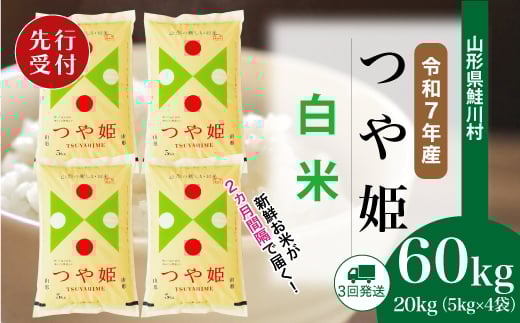 ＜令和7年産米先行受付＞ 鮭川村 特別栽培米 つや姫 【白米】 定期便 60kg （20kg×２ヶ月間隔で3回お届け）＜配送時期選べます＞