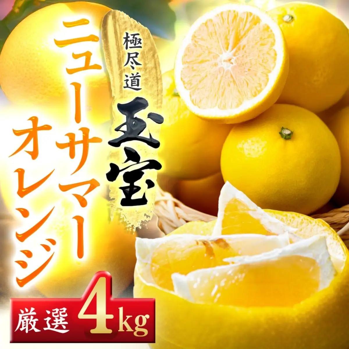 【先行受付】【愛媛名産】玉宝ニューサマーオレンジ　4kg【C64-37】【1510858】 YWTY026