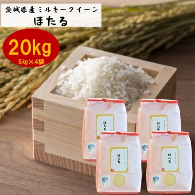 ふるさと納税 かすみがうら市 茨城県産ミルキークイーンほたる20kg(5kg×4袋)