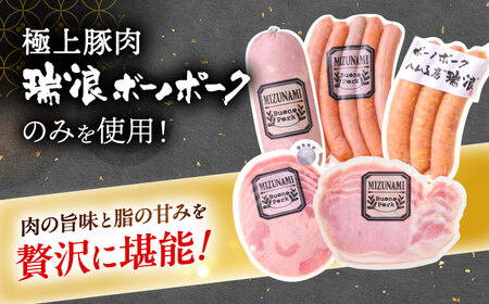 【6回定期便】 ハム・ソーセージ 瑞浪ボーノポーク ハム工房世界一記念セット 800g (冷凍) 瑞浪市 / きなぁた瑞浪 詰め合わせ ギフト[AZCI117]