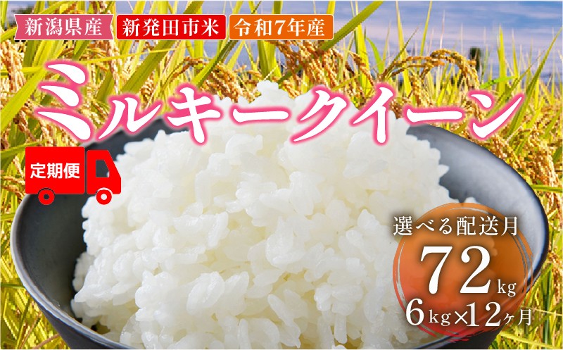 
            【定期便】令和7年産 新潟県新発田産 ミルキークイーン 2㎏×3袋 12か月 選べる お届け開始時期 米 お米 ごはん 白米  佐々木耕起組合 プレゼント ギフト 贈答 定期便 新潟県 新潟産 新発田産 D47_002P
          