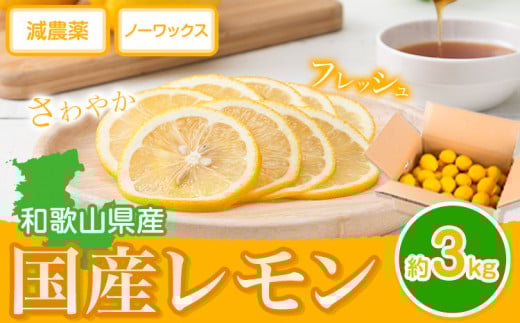 国産 レモン 約 3kg (L～4Lサイズ)  どの坂果樹園《2026年2月上旬-5月末頃出荷》 和歌山県 日高川町 レモン れもん 檸檬 果物 フルーツ 国産レモン レモネード レモンサワー はちみつレモン はちみつ ハイボール 旬 柑橘 フルーツ 果物