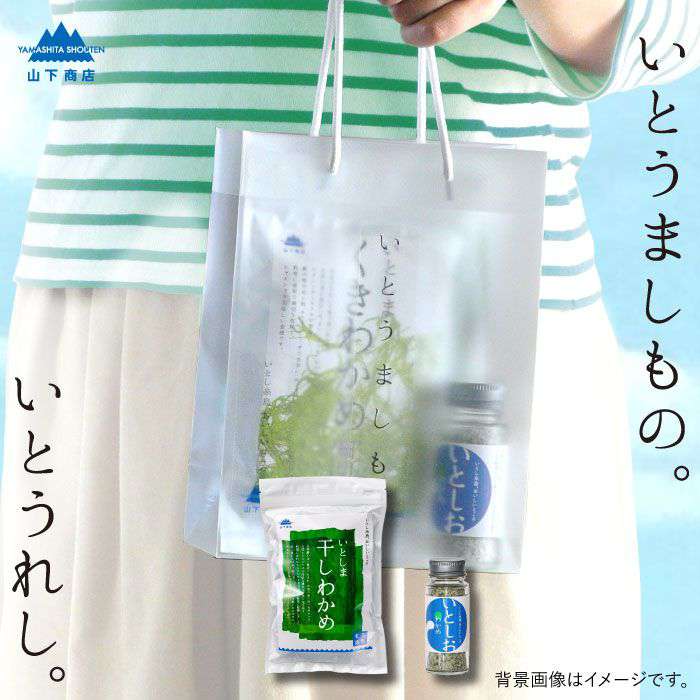 【ふるさと納税】糸島の乾物 海藻 いとうましもの（手さげ袋A）【山下商店】 いとしまごころ [ANA017] 常温 6000円 6千円