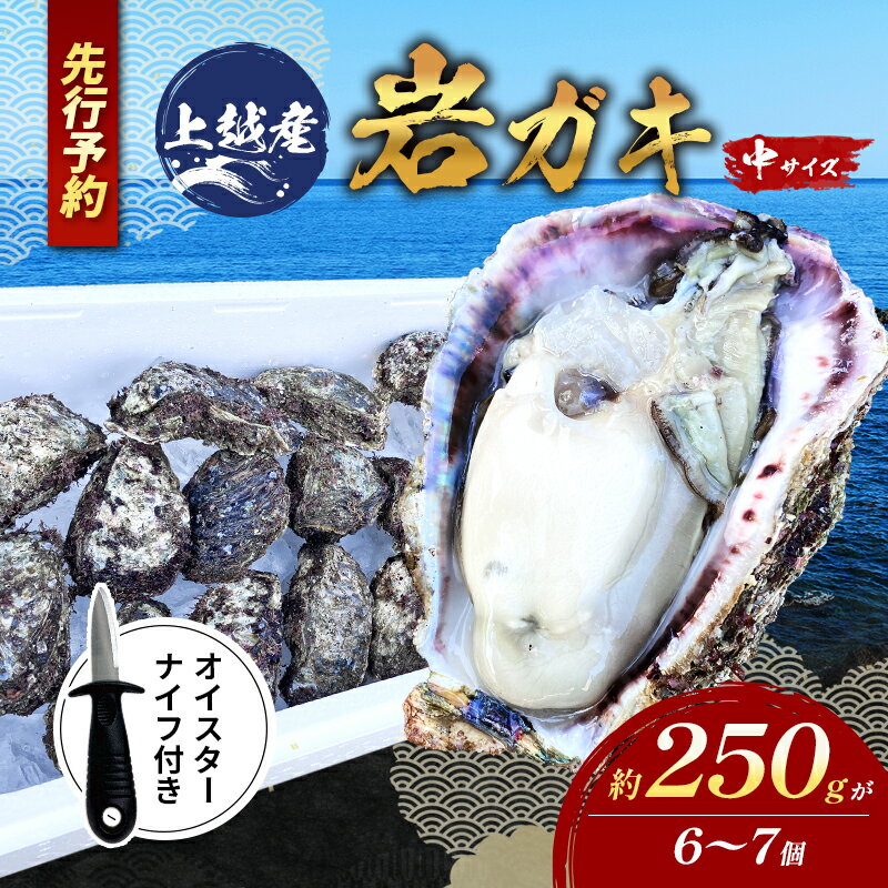【ふるさと納税】【先行予約/オイスターナイフ付き】上越産天然岩ガキ　中サイズ（約220～250g）6～7個 海産物　2025年7月中旬以降順次発送　お届け：2025年7月中旬～8月中旬まで