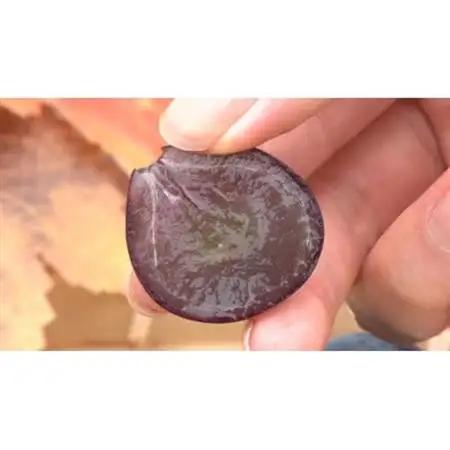 【2026年発送】牧丘天空の丘ブランド「シャインマスカット+キング巨峰」約1kg【配送不可地域：離島】【1585060】
